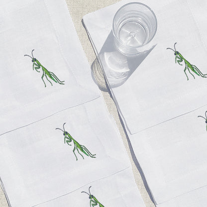 coctelera mantis · set de 6 - Barioles Casa